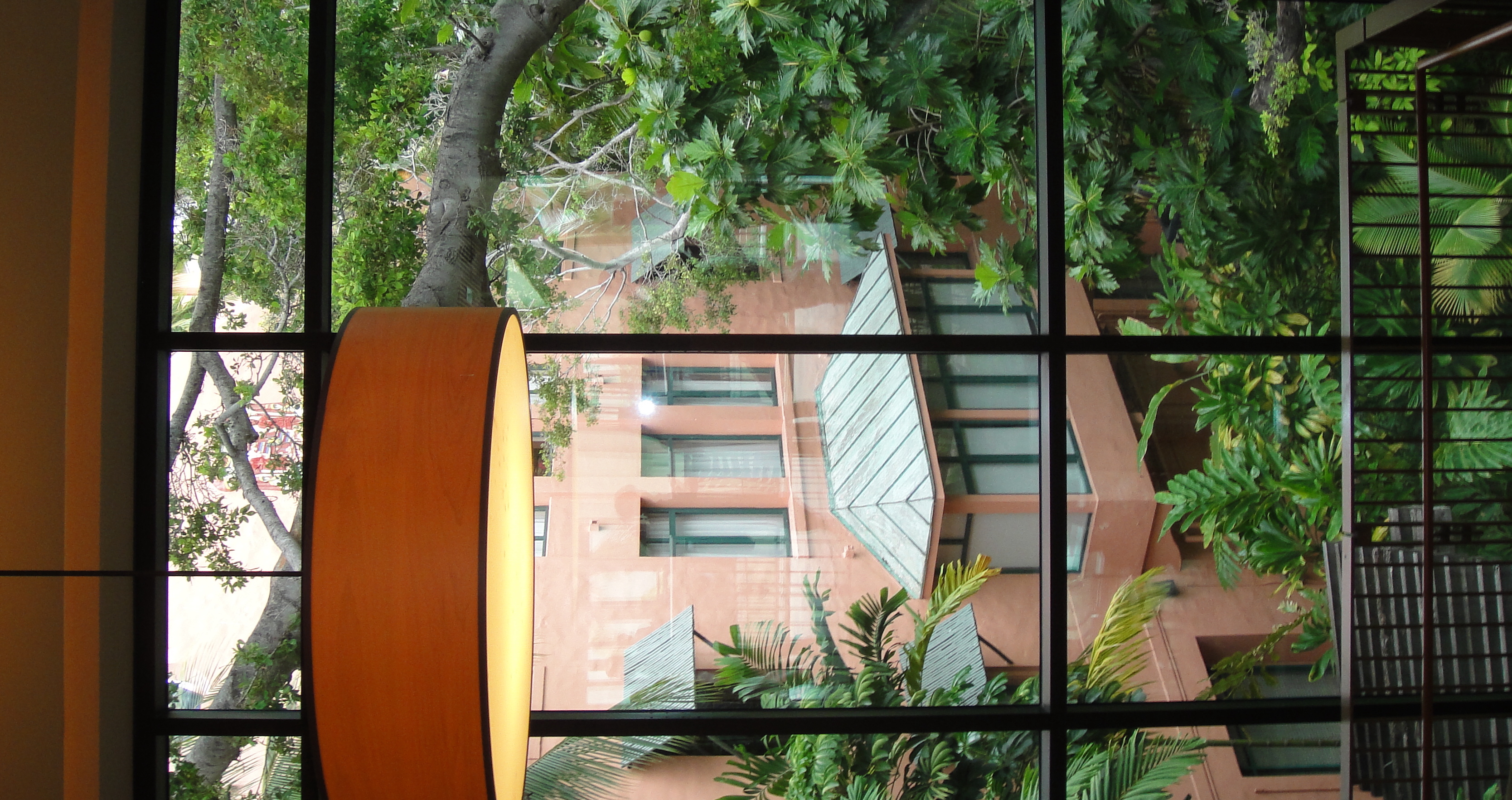 Window reflection detail